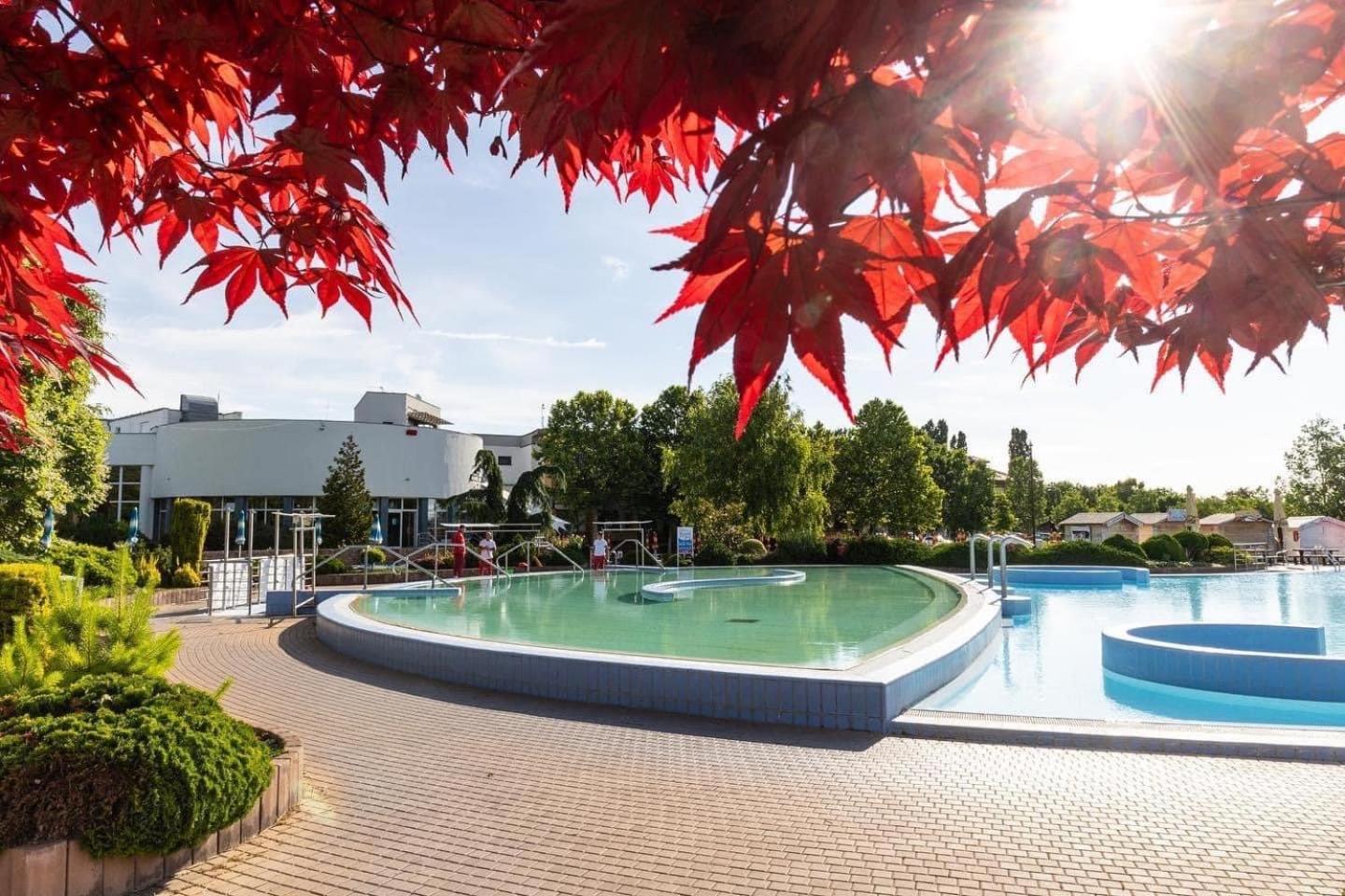 Dom Alex Pri Kupalisku Thermalpark Dunajská Streda Exteriör bild